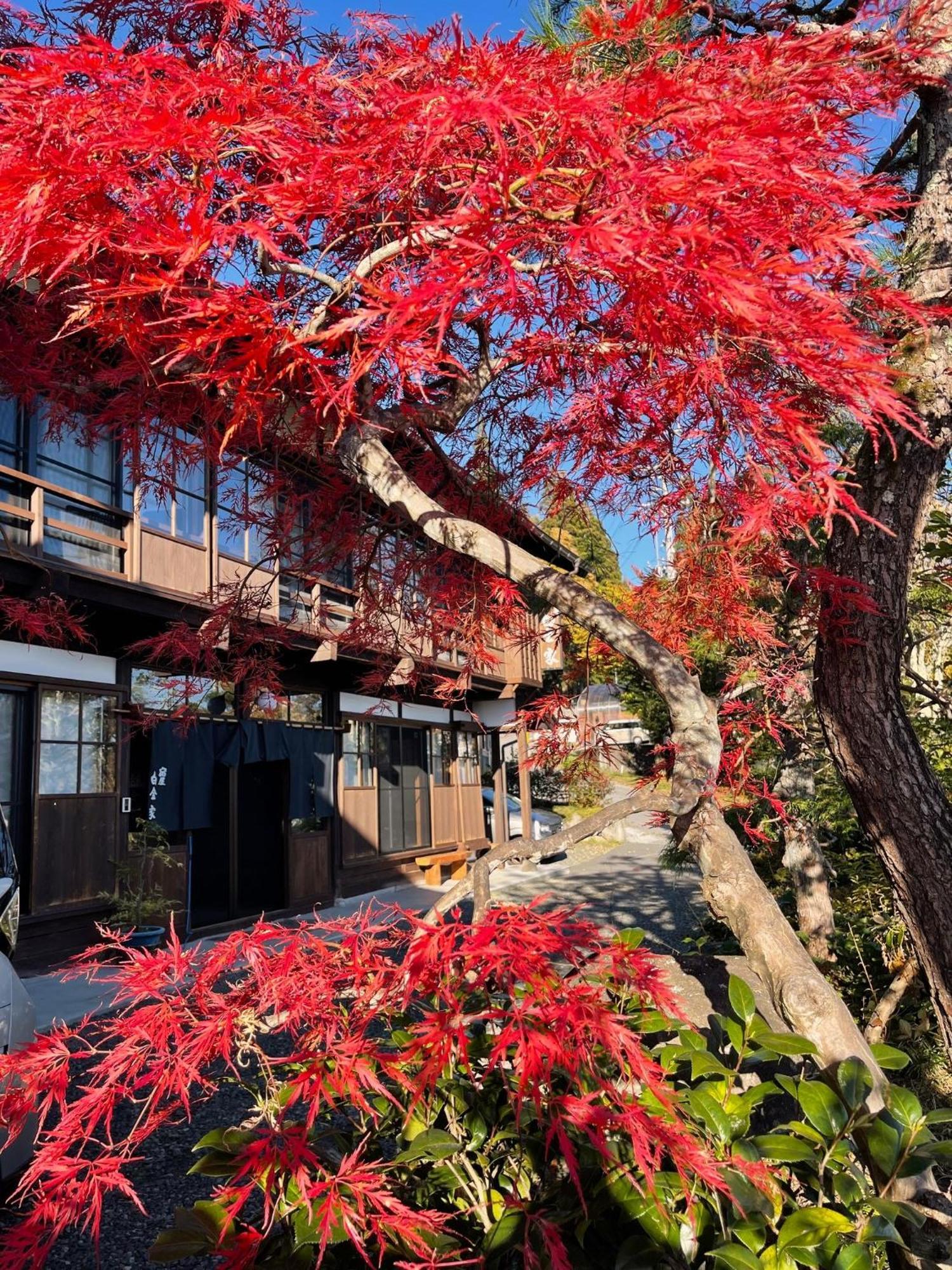 宿屋白金家 Yadoya-Shiroganeya 1日1組限定2名から8名様まで 全館貸切り 伝統的建造物の旅籠宿 Traditional Culture Experience Nagano Dış mekan fotoğraf